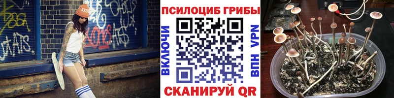 как найти закладки  Ленинск-Кузнецкий  Галлюциногенные грибы мухоморы 